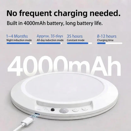 Luméo Ceiling Light